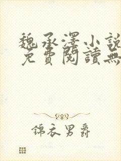 魏承泽小说全文免费阅读无弹窗笔趣