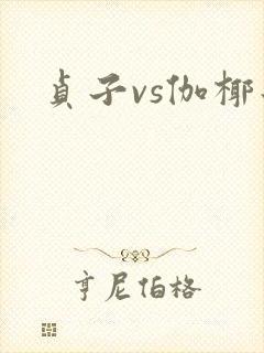 贞子vs伽椰子封面