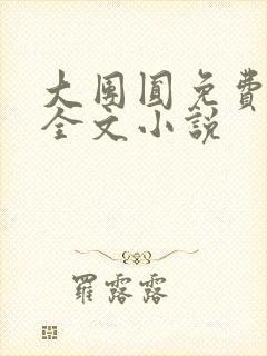 大团圆免费阅读全文小说封面