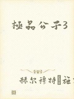 极品公子3