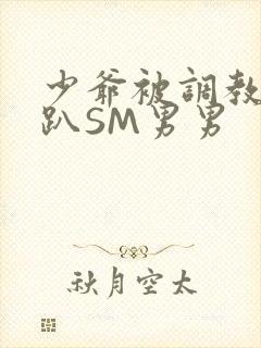 少爷被调教室跪趴SM男男