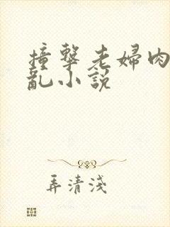 撞击老妇肉体之乱小说封面