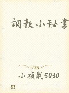 调教小秘书封面