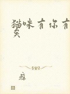 猫咪有你有我足矣