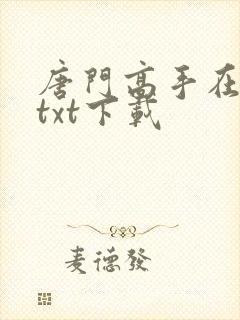 唐门高手在异世txt下载