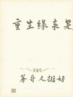 重生缘来是你封面