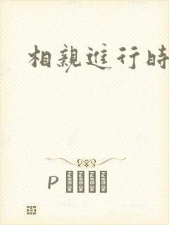 相亲进行时封面