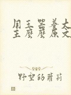 用玉器养大的公主么么原文封面