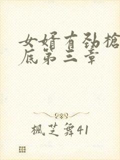 女婿有劲枪枪到底第三章