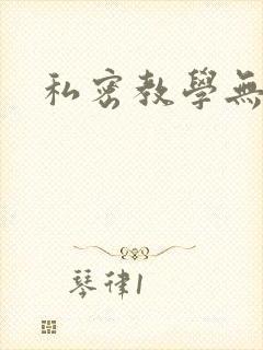私密教学无删减封面