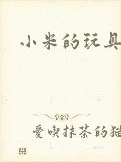 小米的玩具日记