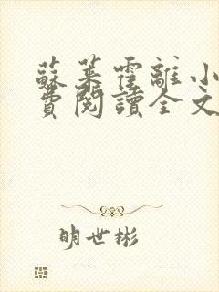 苏莱霍离小说免费阅读全文封面