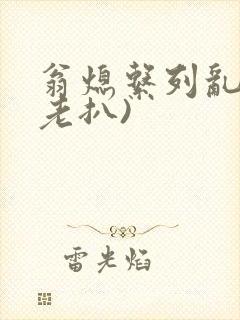 翁熄系列乱 (老扒)封面