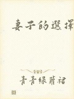 妻子的选择小说