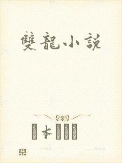 双龙小说