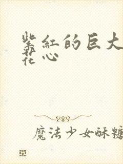 紫红的巨大顶开花心