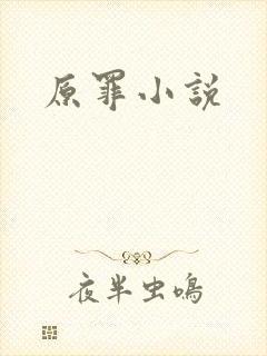 原罪小说