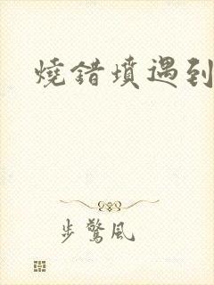 烧错坟遇到鬼封面