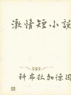 激情短小说