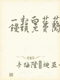 一对白花花的大馒头免费阅读