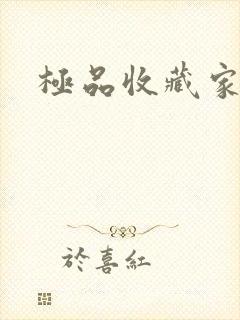 极品收藏家封面