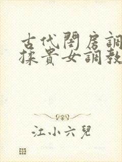 古代闺房调教h揉贵女调教记封面