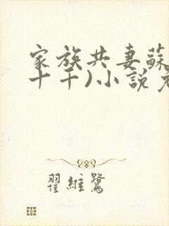 家族共妻苏苏(十千)小说免费