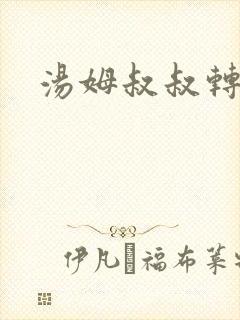 汤姆叔叔转接口