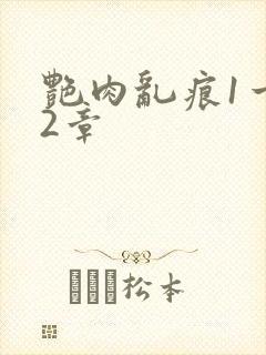 艳肉乱痕1一12章