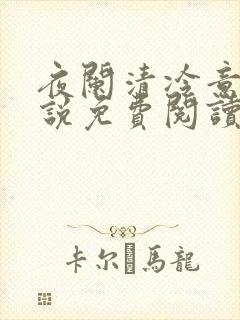 夜阑清冷意欢小说免费阅读封面