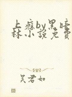 上瘾by黑暗森林小说免费封面