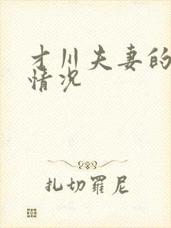 才川夫妻的恋爱情况