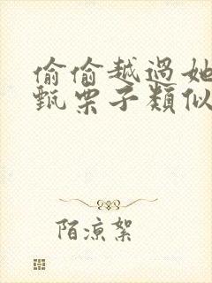 偷偷越过她by甄栗子类似小说