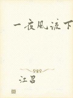 一夜风流下载