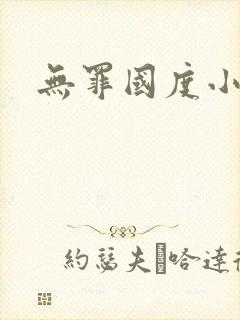 无罪国度小说封面