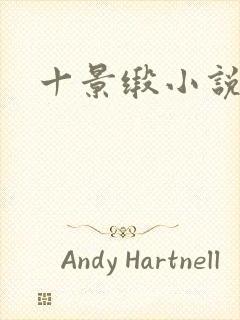 十景缎小说