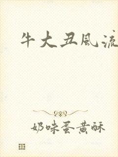 牛大丑风流记封面