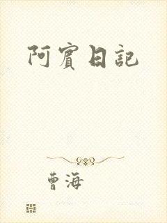 阿宾日记