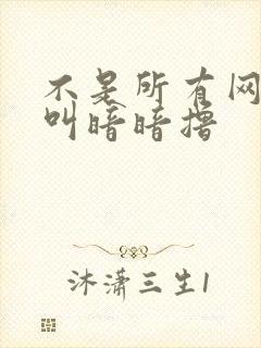 不是所有网站都叫暗暗撸