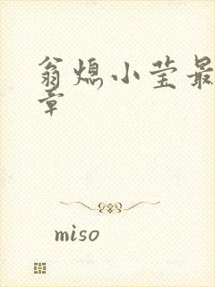 翁熄小莹最新节章