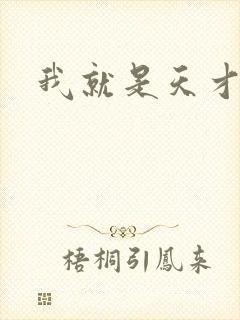 我就是天才封面