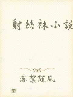 射丝袜小说封面