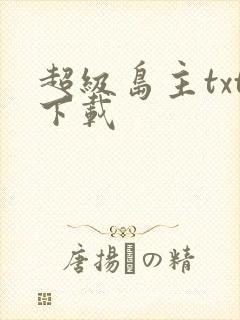 超级岛主txt下载