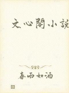 文心阁小说