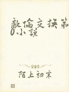 敌伦交换第150小说封面