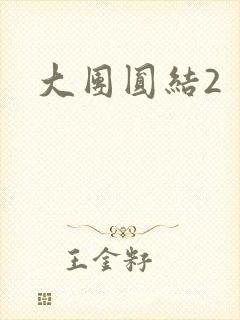 大团圆结2封面