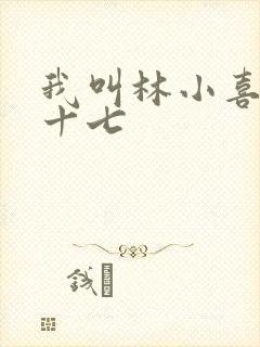 我叫林小喜今年十七封面