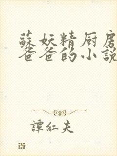 苏妖精厨房爹爹爸爸的小说