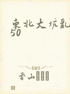 东北大坑乱1—50