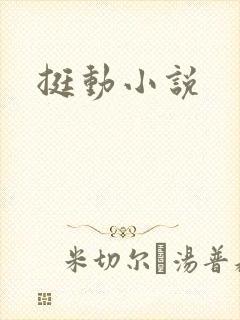 挺动小说
